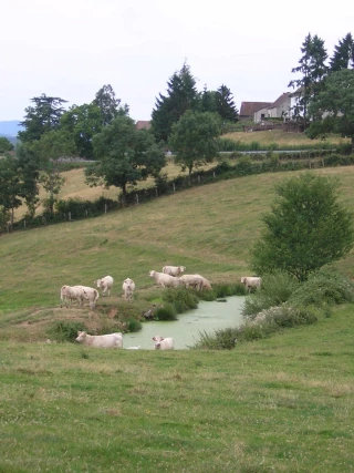 Le bail rural environnemental 
