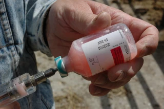 Santé animale : La baisse de l’exposition des animaux aux antibiotiques marque le pas en 2018