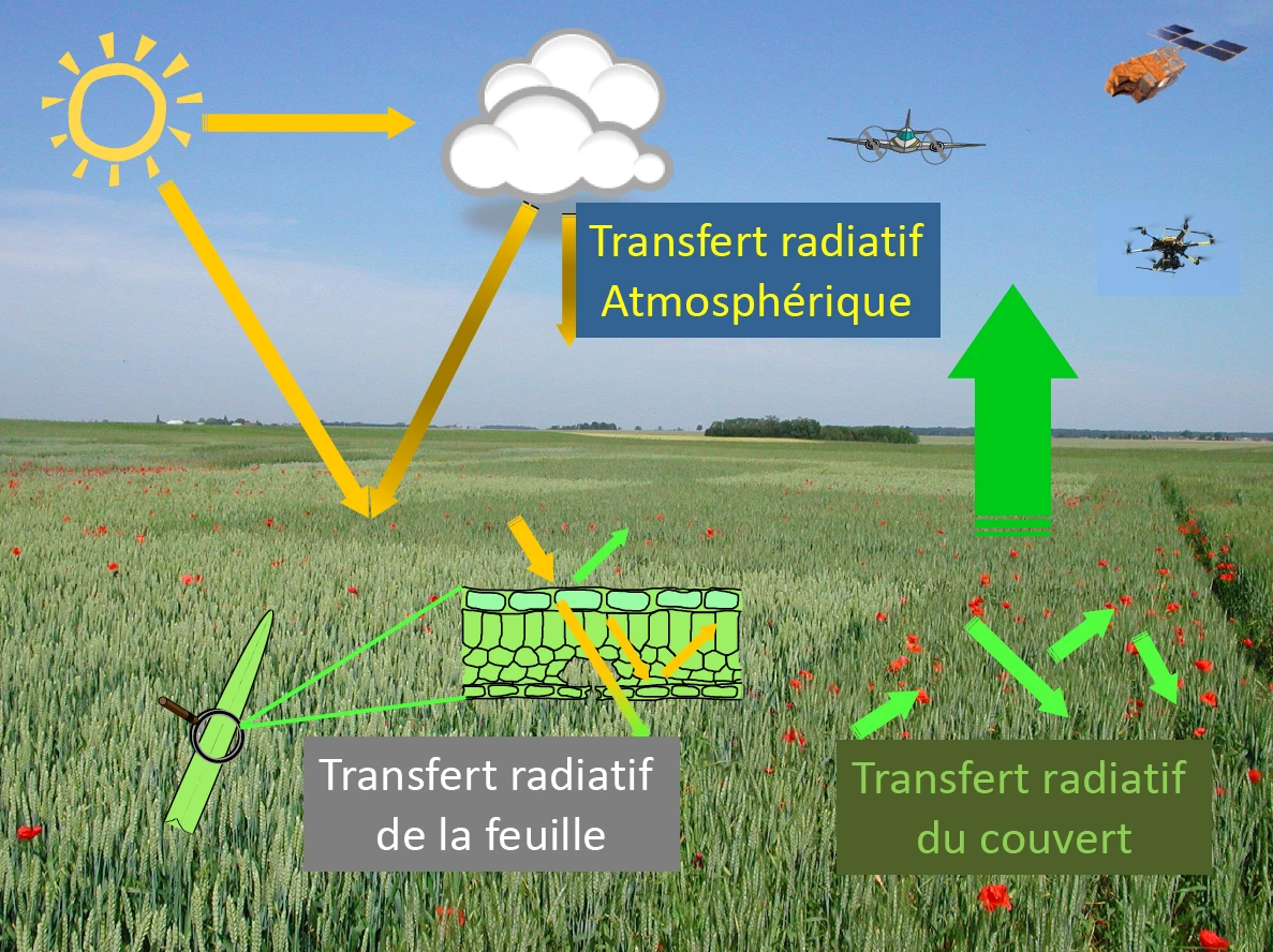 Une plateforme pour le Big Agro Data