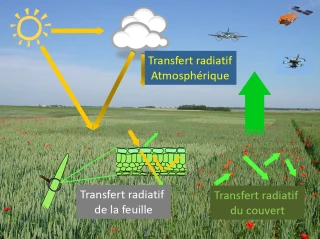 Une plateforme pour le Big Agro Data