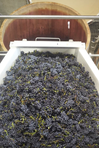 Une (r)évolution imperceptible en Bourgogne