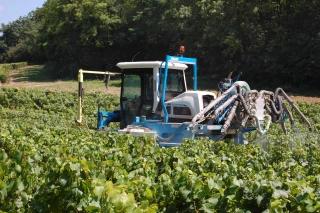 Système expert opérationnel de la décision de traitement en viticulture avec l'Institut Français de la Vigne & du Vin