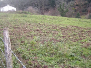 Dégâts de gibiers, de sangliers : s’adapter au nouveau contexte 
