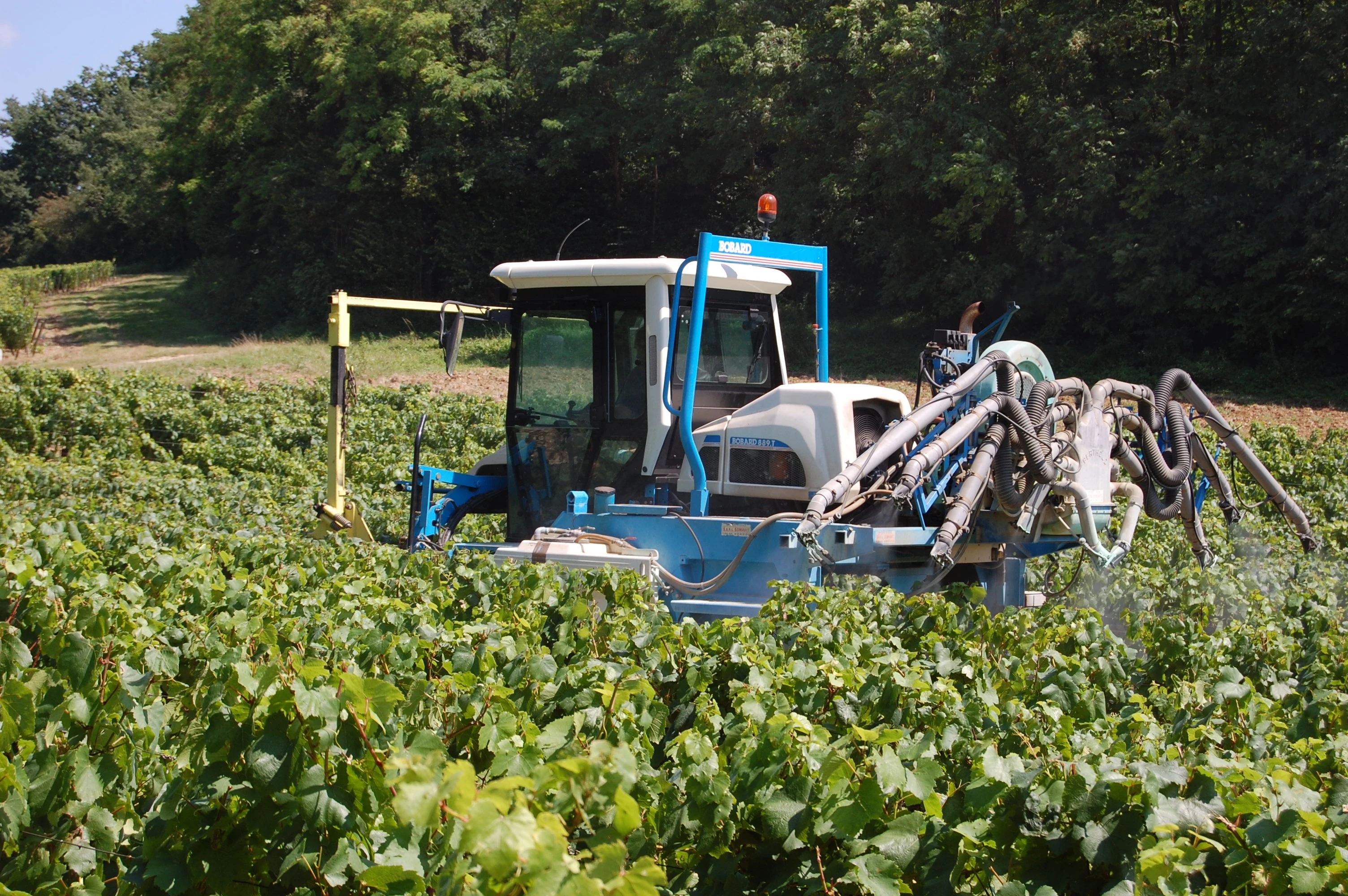 Les parlementaires prônent une interdiction limitée du glyphosate
