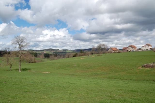 Le droit rural à la croisée des chemins