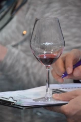 90 minutes pour devenir un expert des Vins de Bourgogne