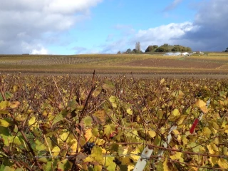 Agenda toujours chargé même après les vendanges