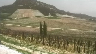 Vin : les investissements de prévention des risques climatiques à l’étude