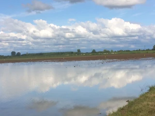 Inondations : « Il n’y a pas de raison objective d’incriminer les agriculteurs dans la crue actuelle »