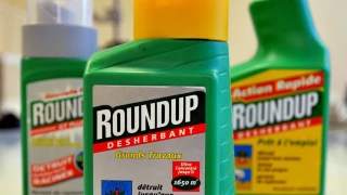 Bruxelles donne son feu vert sous conditions à la fusion Bayer-Monsanto 