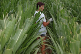 En Bourgogne Franche-Comté, la profession agricole et Pôle Emploi se mobilisent pour l'emploi et l'insertion professionnelle