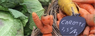 Pour l’UFC-Que choisir, la distribution sur-marge les fruits et légumes bio