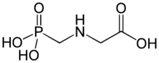 L'expérimentation Syppre pointe un manque d’alternative en grandes cultures