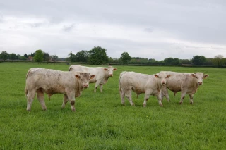 Prolongation de la date limite de dépôt des demandes d’indemnisation au 29 septembre à midi