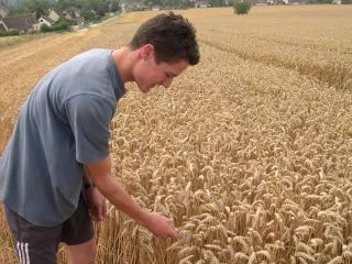 La difficulté de renouveler les générations d’agriculteurs