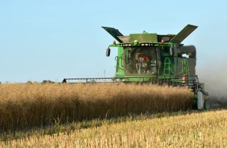 Importante révision en hausse des estimations de productions de céréales et de colza