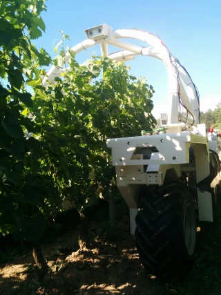 Quelles nouvelles mutations pour la viticulture Mâconnaise et son enseignement viticole ?