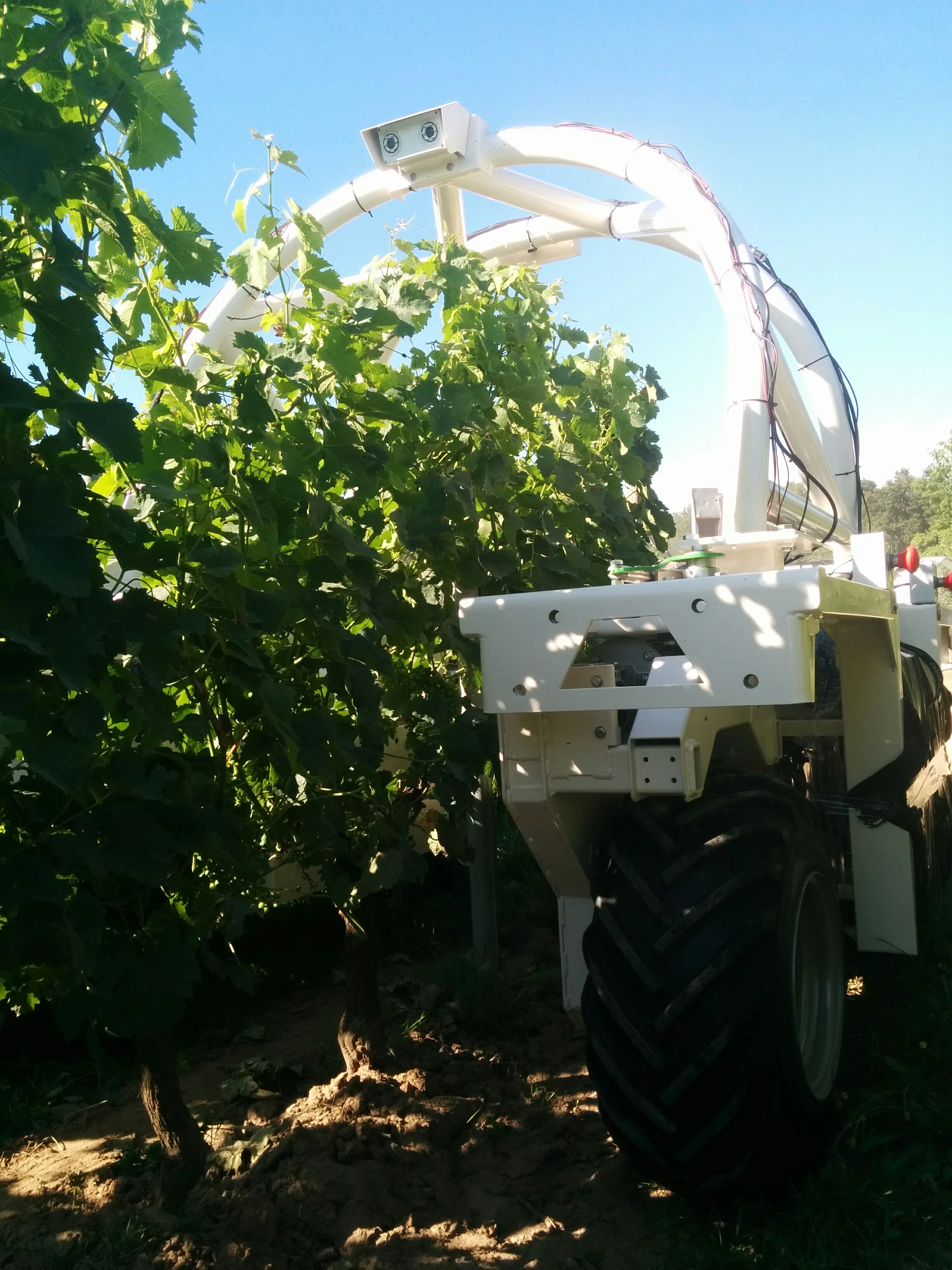 Innovation : Les startups aux côtés des agriculteurs 