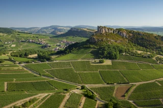 Faut-il réaménager sa gamme de vins avec l'arrivée de Premiers Crus ?