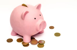 Analyse des marchés animaux et des tendances commerciales de la semaine 3-2019
