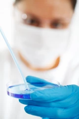 L’antibiorésistance recule toujours, mais arrive à un palier