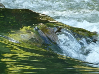 Contre-expertises des cours d’eau en Bresse et dans le Chalonnais