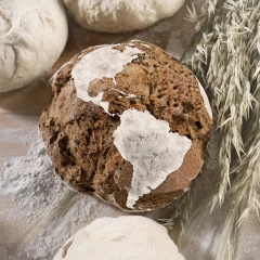 La Commission reconnaît une baisse de production