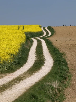 Ce que la loi sur le pouvoir d’achat change pour le secteur agricole