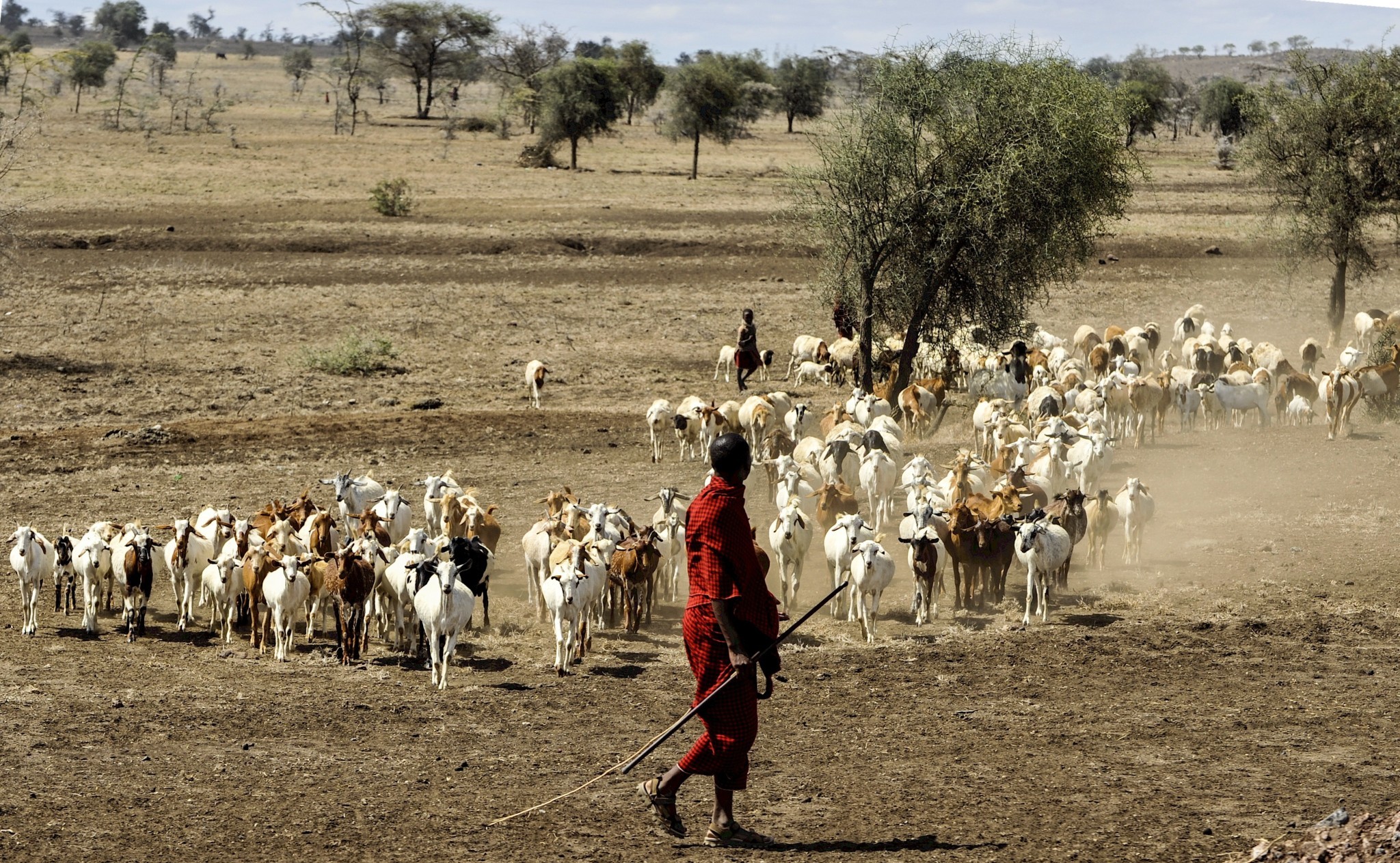 EXCLU WEB / Forum Demeter (3/3) : FARM : une initiative en quête de crédit(bilité)