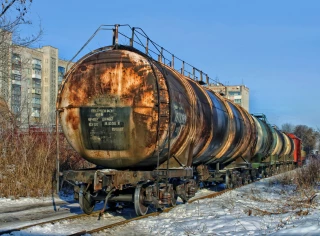 EXCLU WEB / L’élevage ukrainien entre résilience et risque sanitaire