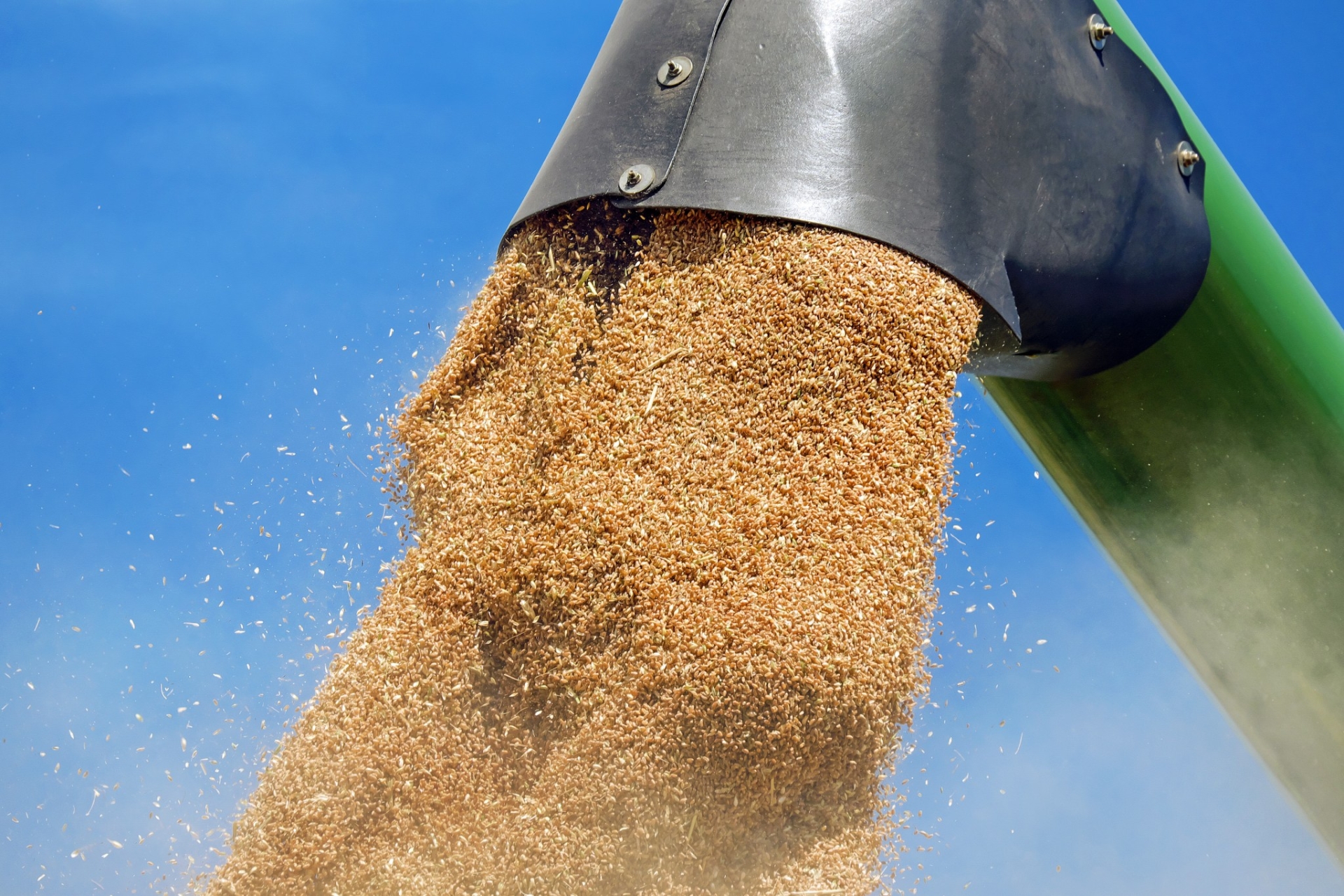 EXCLU WEB / Commerce extérieur agroalimentaire : 9,9 Mds d’€ de céréales exportées durant la campagne 2021/2022