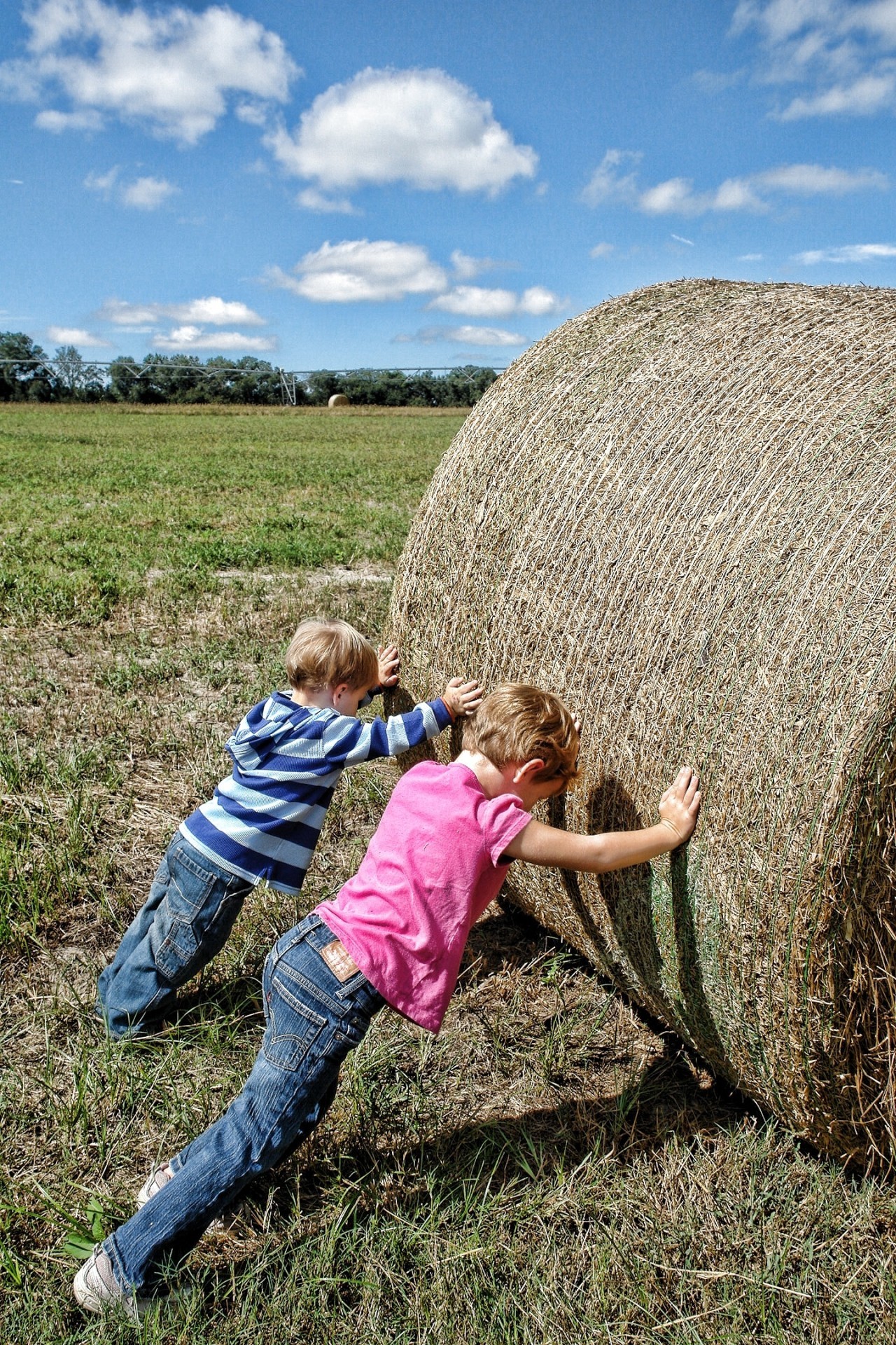 Les consommateurs prennent conscience du travail des agriculteurs