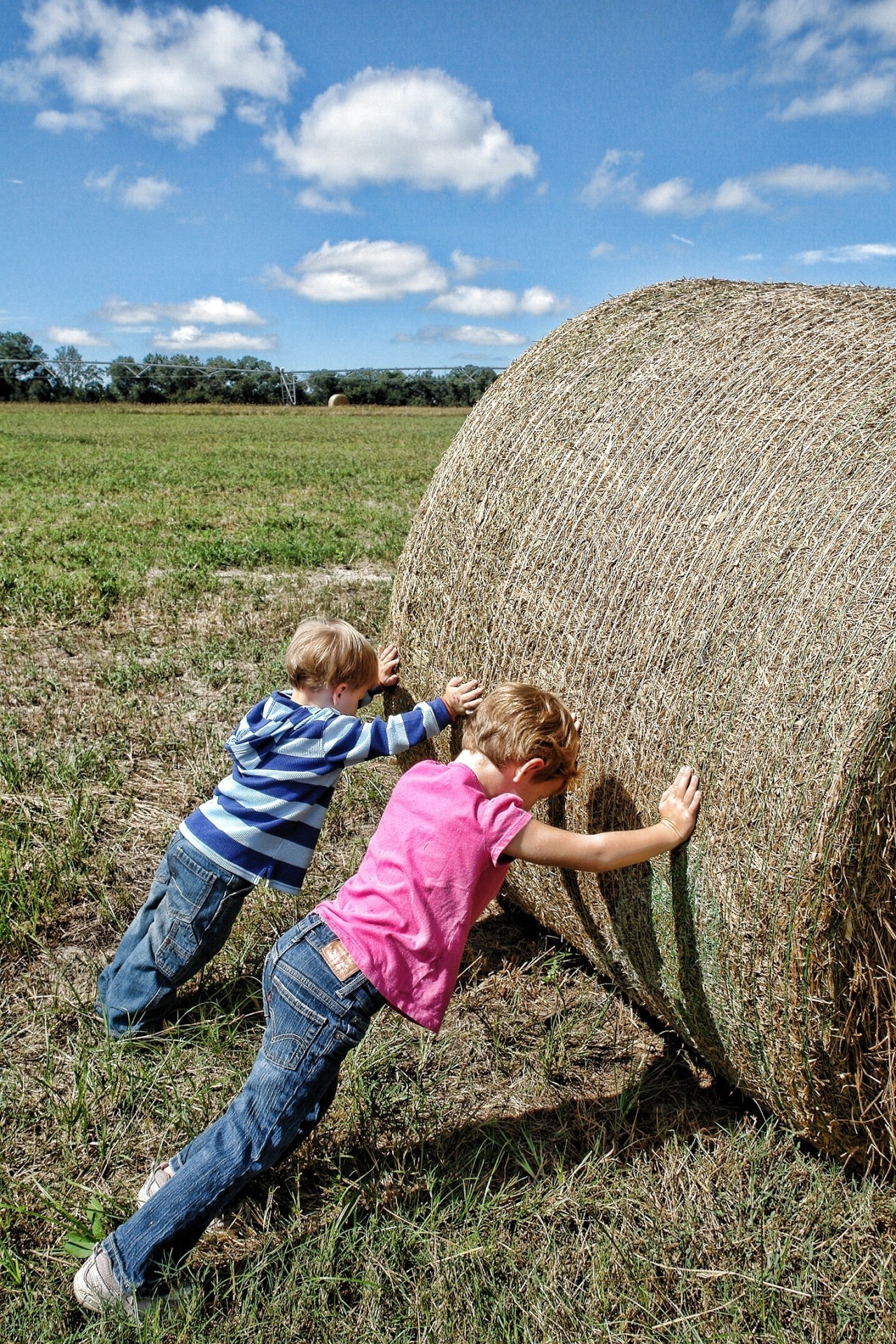 Les consommateurs prennent conscience du travail des agriculteurs