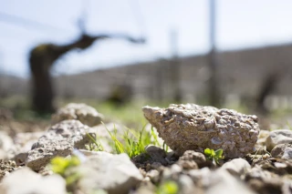 Une révolution scientifique pour l’authentification des vins : la signature minérale entre en scène