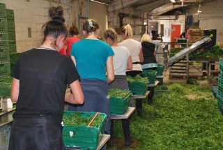 Les cultures n’attendront pas