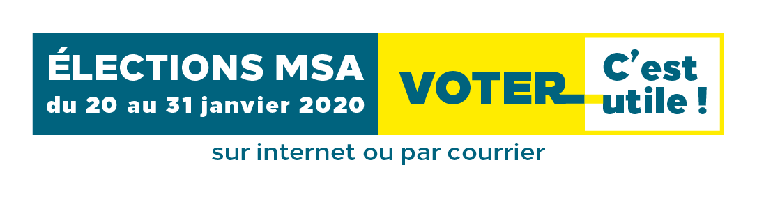 REGARDS SUR LA MSA
