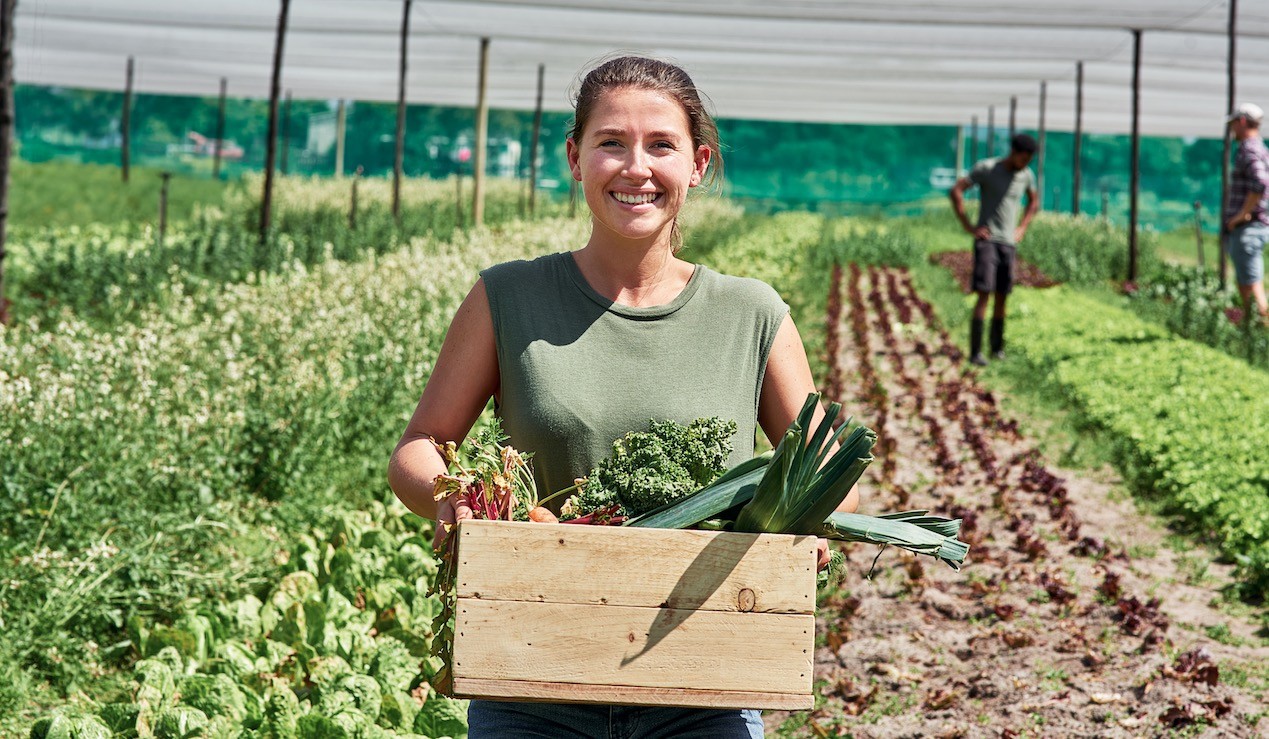 Les Français ont une bonne image de l’agriculture