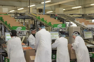 Matines va cesser ses activités à l’automne