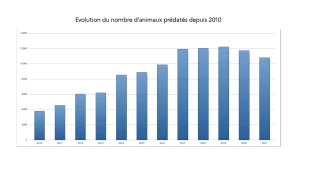Le suivi du loup en 2021-2022