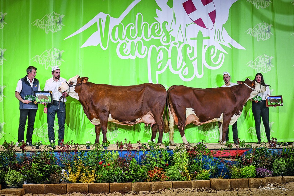 Époustouflant Salon Vaches en Piste, en Haute-Savoie !
