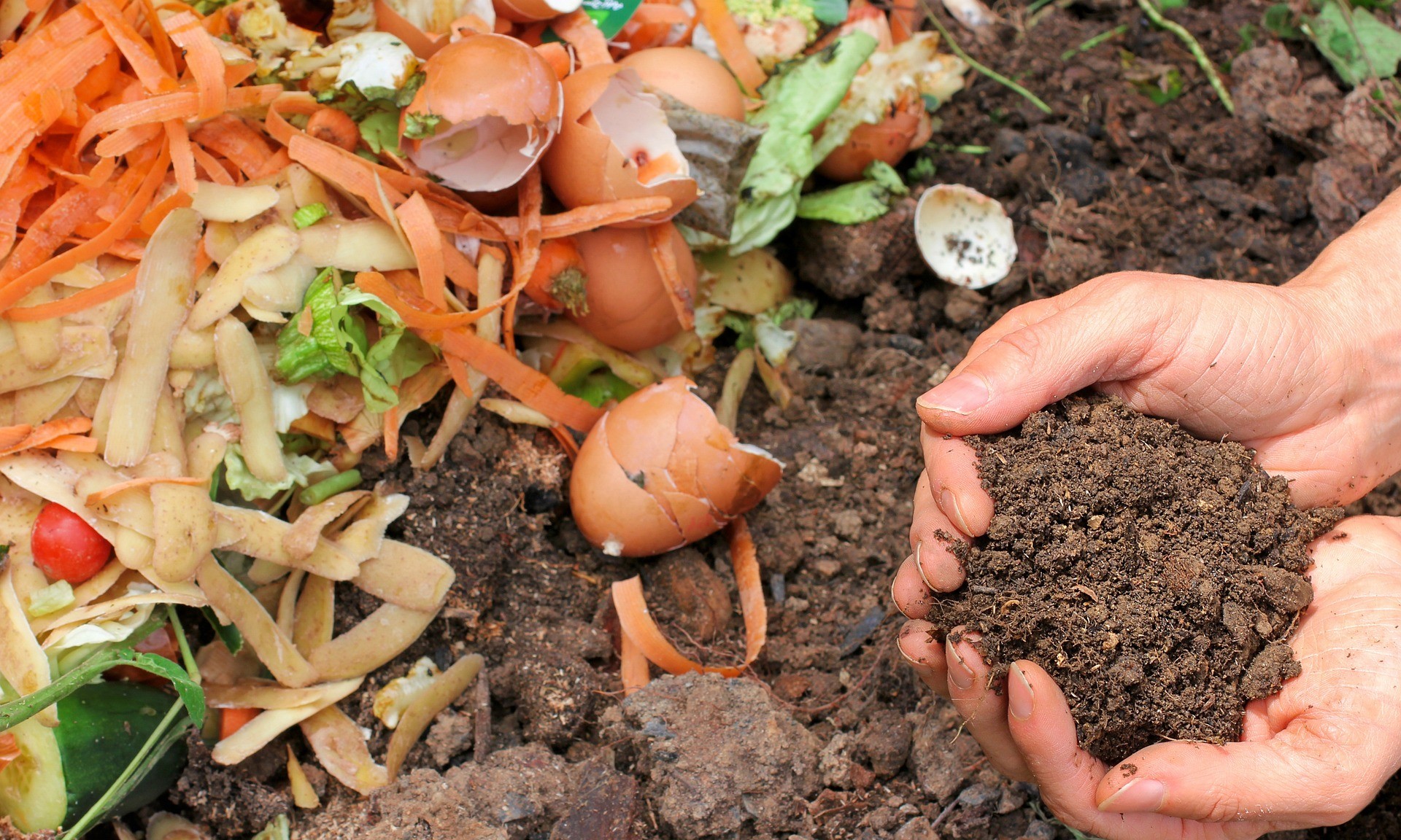 Le compostage domestique obligatoire en 2024