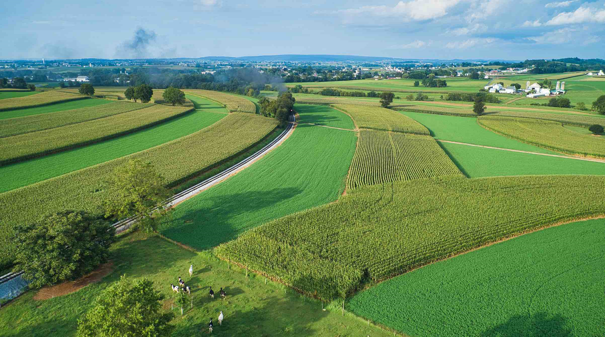 Bonne dynamique pour le marché des terres agricoles