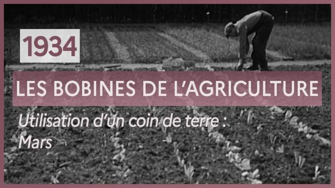 À l’épreuve des évolutions