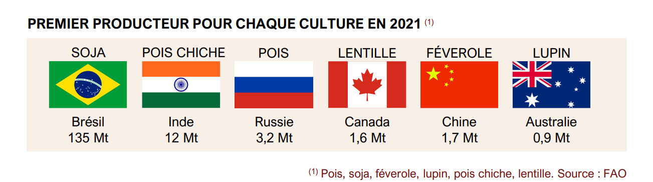 Légumineuses : la France perd sa place de leader en UE