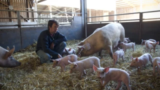 Revenus agricoles en hausse dans l’UE