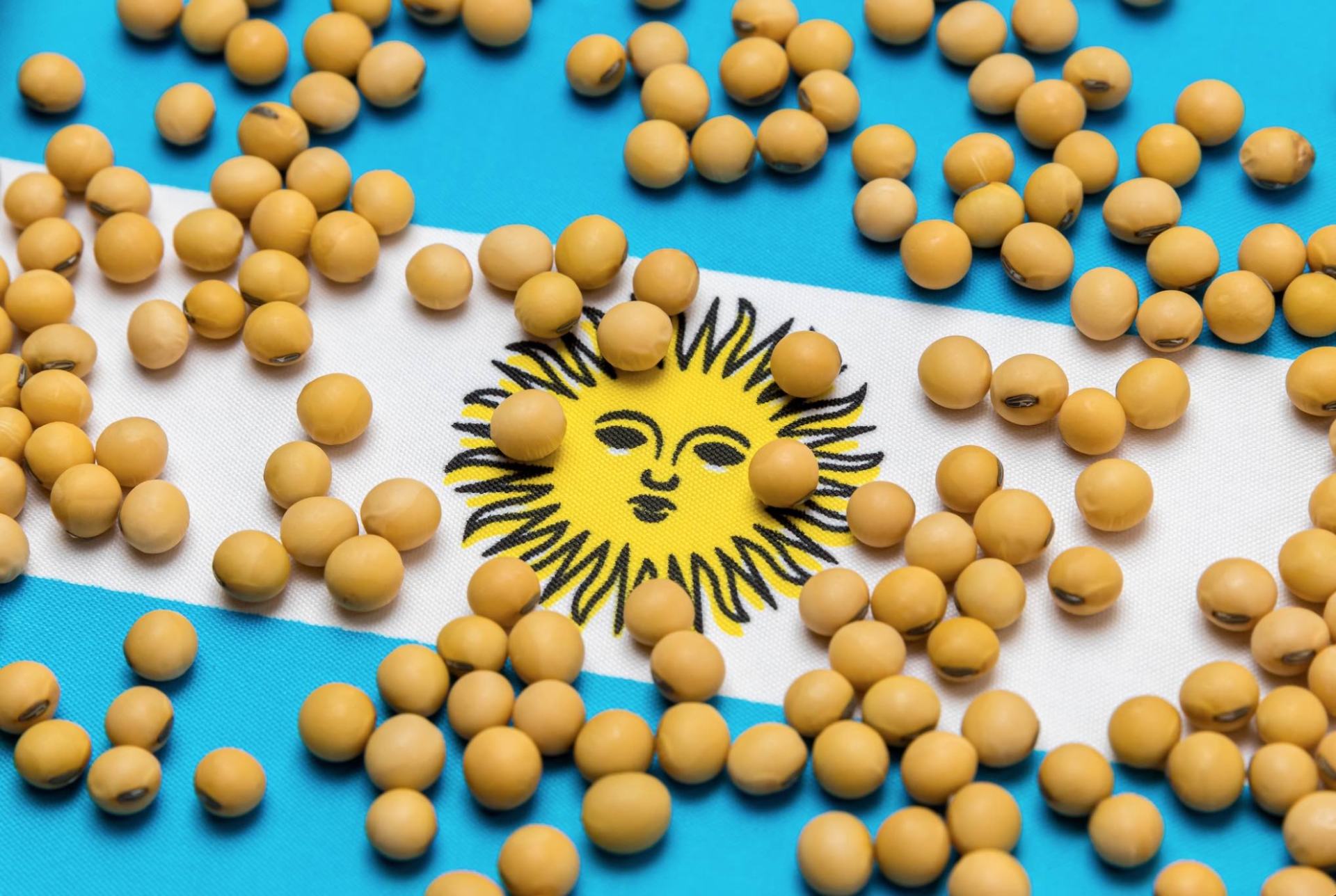 Argentine : la sécheresse plombe la production de soja