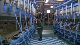 Lait : des signes d’embellie sur le marché européen