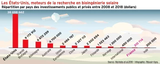 Les États-Unis, moteurs de la recherche en bio-ingénierie solaire