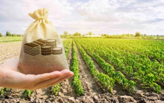 Une mauvaise année agricole 2024 selon l’Insee