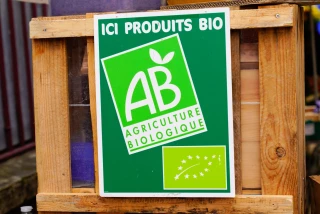 Des surfaces bio en progression, mais un marché qui se tasse